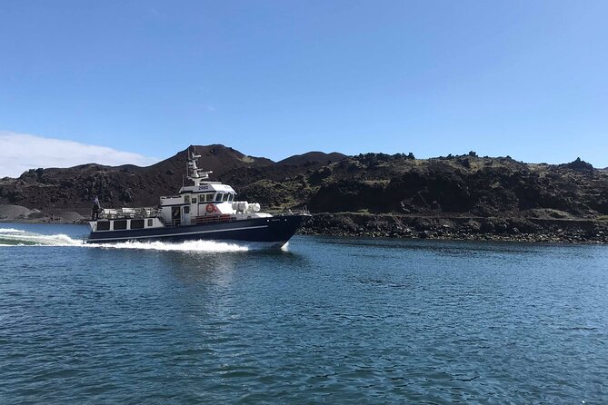 Boat Tour in Vestmannaeyjar - Tangagata 7 to the open sea