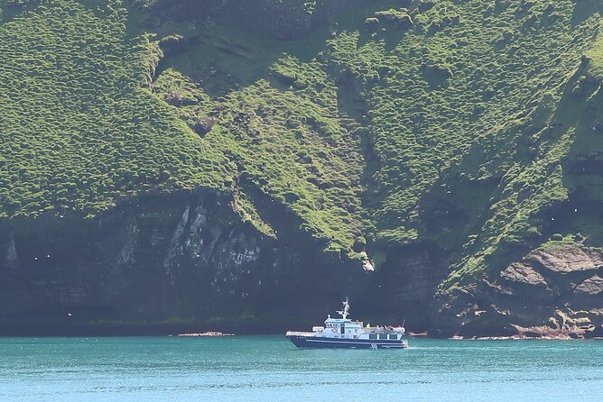 Boat Tour in Vestmannaeyjar - The guide can make or break the ride