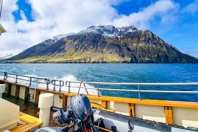 Boat Tours from Siglufjörður - Why this boat ride adds something special to Siglufjörður