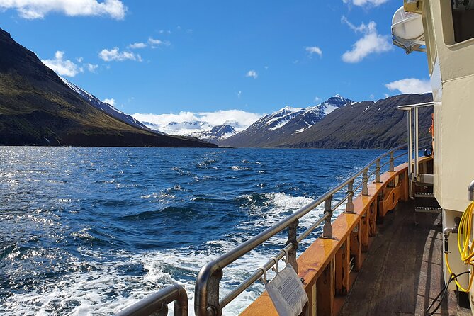 Boat Tours from Siglufjörður - Siglunes and the traces of an old settlement