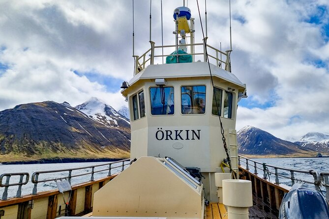 Boat Tours from Siglufjörður - Sea angling and the chance to catch cod