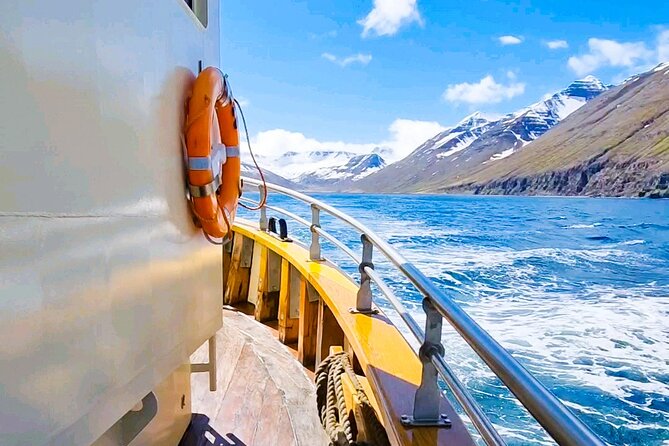Boat Tours from Siglufjörður - Heading north past Selvíkurviti lighthouse