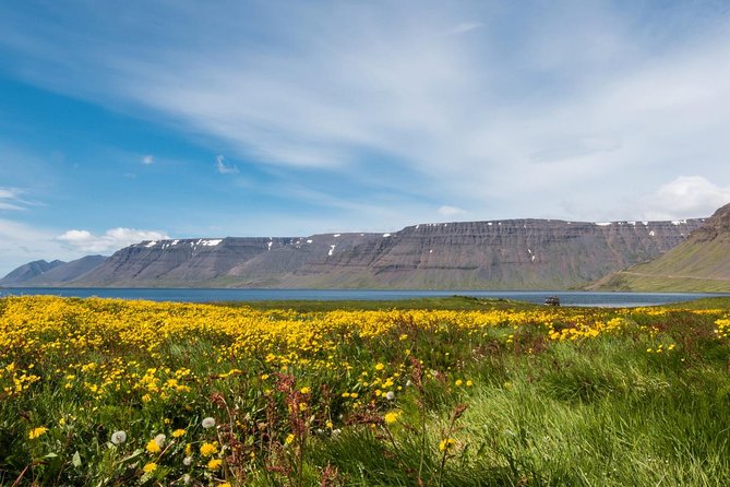 Borgarfjörður - Why Borgarfjörður makes a strong day trip from Reykjavik
