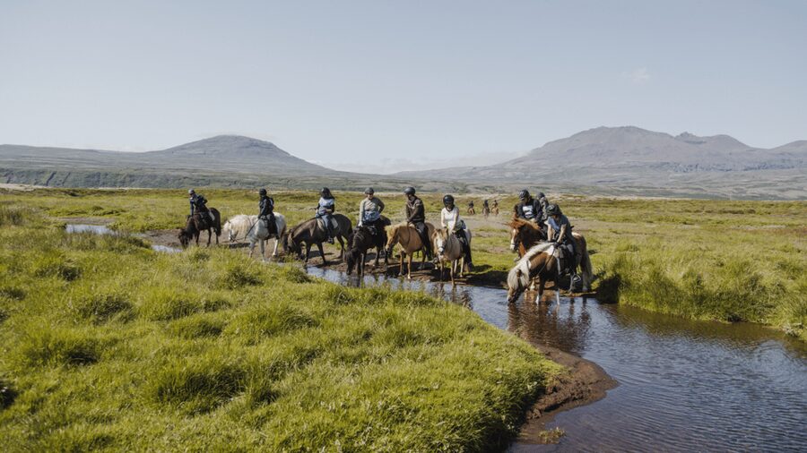 Borgarnes: Horseback Riding Tour with Prep Lesson - Key points to know before you book
