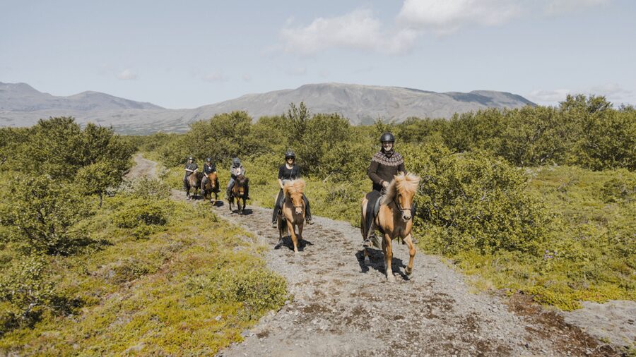 Borgarnes: Horseback Riding Tour with Prep Lesson - Why the indoor arena is so useful