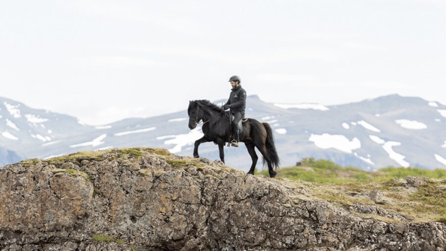 Borgarnes: Horseback Riding Tour with Prep Lesson - Regular group or private ride?