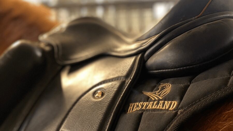 Borgarnes: Horseback Riding Tour with Prep Lesson - Meeting your horse before the trail
