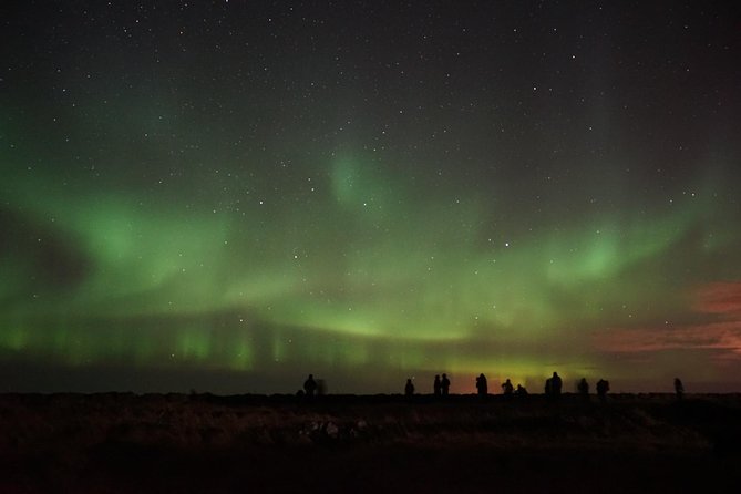 Chasing Aurora Borealis with Warmth and Treats in Premium Tour! - Hot chocolate, kleinur, and the cold