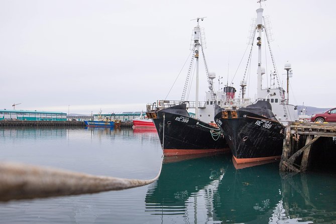City Sightseeing Reykjavik Hop-On Hop-Off Bus Tour: 24 or 48-Hour - Museums, central streets, and the church