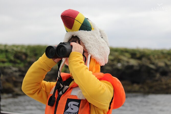 Classic Puffin Watching Cruise from Downtown Reykjavík - Is $60 a fair price?