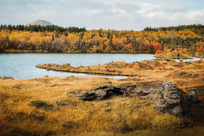 Cruise Tour Godafoss and Myvatn Lake and Baths Small Group - Key Points Before You Book