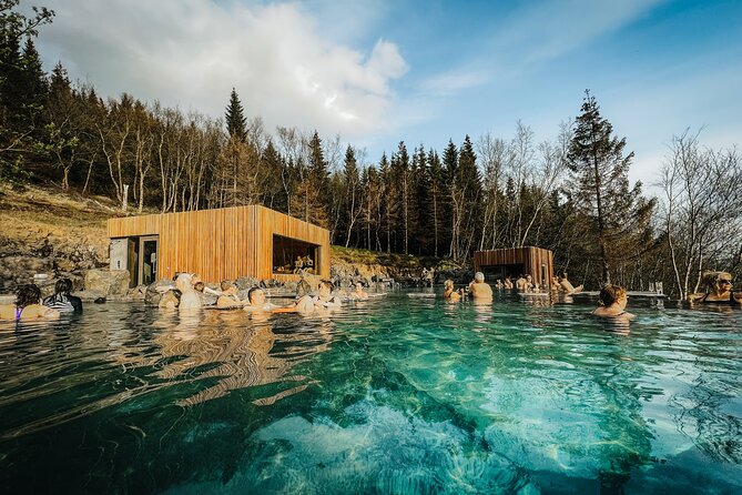 Cruise Tour Godafoss Turf Houses and Forest Baths Small Group - Is $181.02 good value?