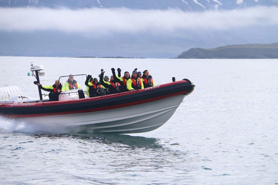 Dalvík: Whale Watching Speedboat Tour - Starting at Hafnarbraut 22 in Dalvík