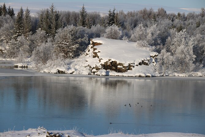 Day Trip to Lake Mývatn And The Nature Baths from Akureyri - What the guides add to the day