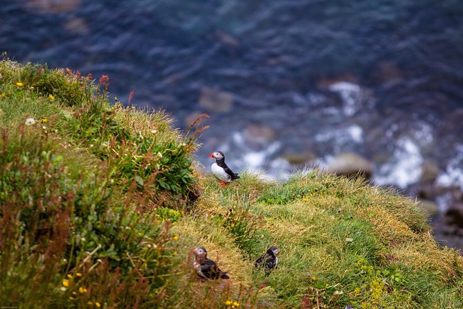 Diamond Circle Day Tour from Akureyri - National park country brings a wilder feel