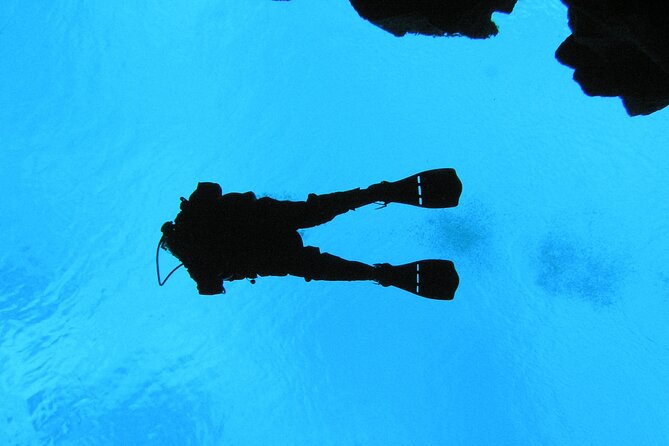 Dive the Divide: Silfra Fissure Scuba Tour | Meet at Thingvellir - Meeting at Thingvellir instead of Reykjavik