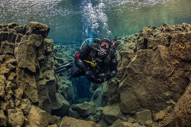 Dive the Divide: Silfra Fissure Scuba Tour | Reykjavik Pickup - The best and weakest parts of the experience