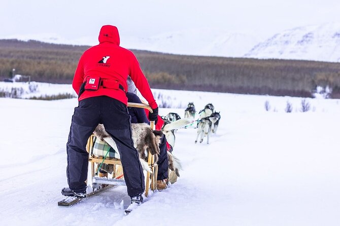 Dog Sledding Tour near Akureyri - What the $468.09 price really buys