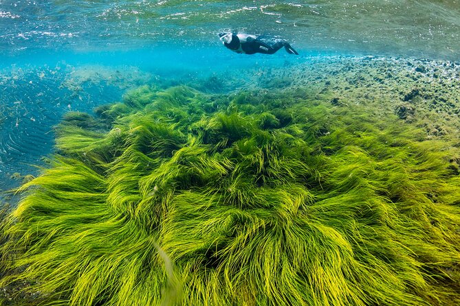 Double Snorkeling Adventure near Húsavík in North Iceland - Key points before you book