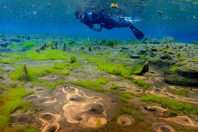Double Snorkeling Adventure near Húsavík in North Iceland - Meeting near Ásbyrgi at 10:00