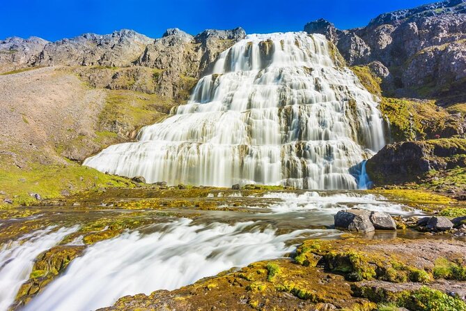 Dynjandi Waterfall & Iceland Farm Visit Tour - How the $149 price holds up