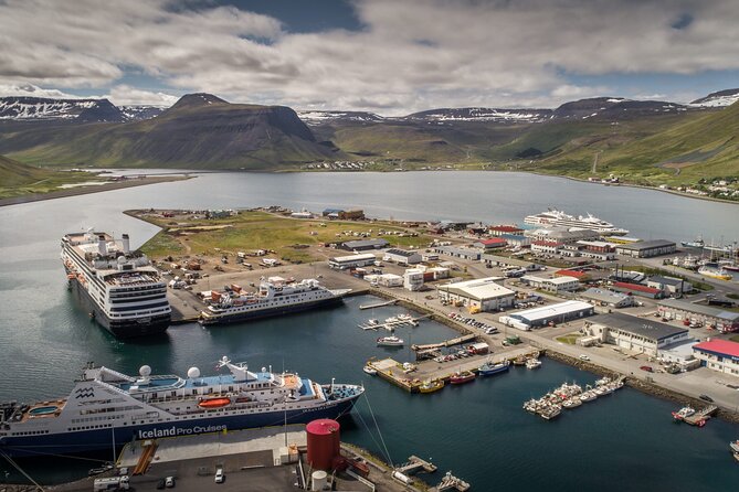 Dynjandi Waterfall & Iceland Farm Visit Tour - The best fit for this Isafjordur outing