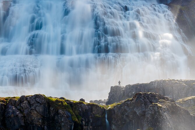 Dynjandi Waterfall & Iceland Farm Visit Tour - The farm near Thingeyri shows everyday Iceland