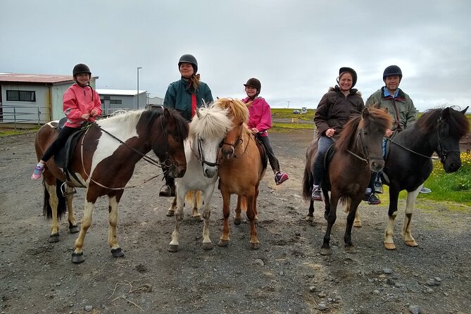 Experience Countryside of Iceland by Horseback Riding - Is $207 a fair price?