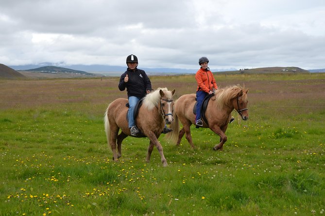 Family Friendly Horse Riding Tour in Skagafjörður - Why riding here feels different from sightseeing by road
