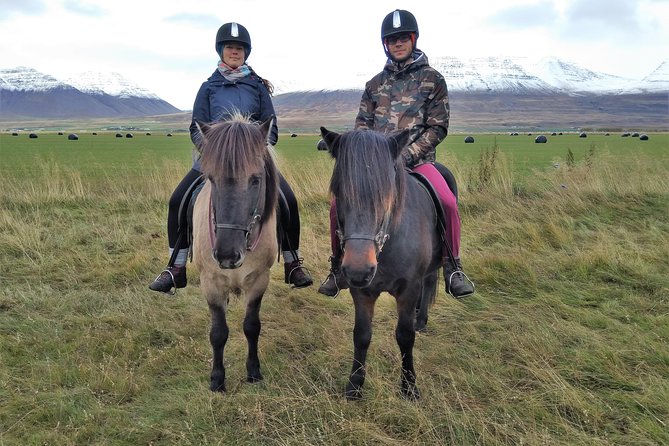 Family Friendly Horse Riding Tour in Skagafjörður - Why the small group matters for families