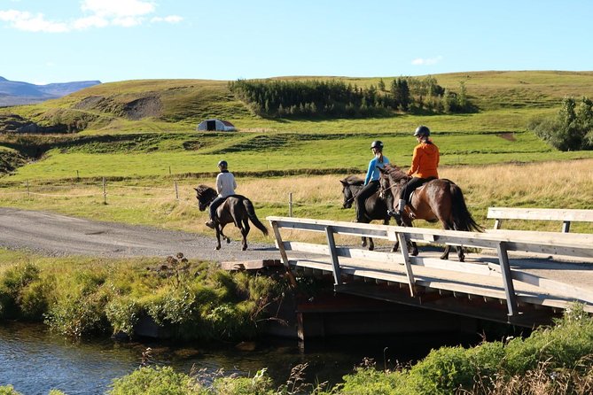 Family Friendly Horse Riding Tour in Skagafjörður - The horses and the guide shape the experience
