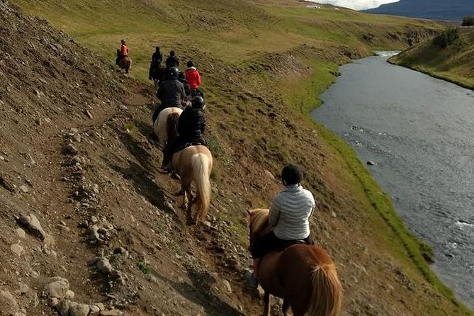 Family Friendly Horse Riding Tour in Skagafjörður - Is $90.05 good value for one hour?