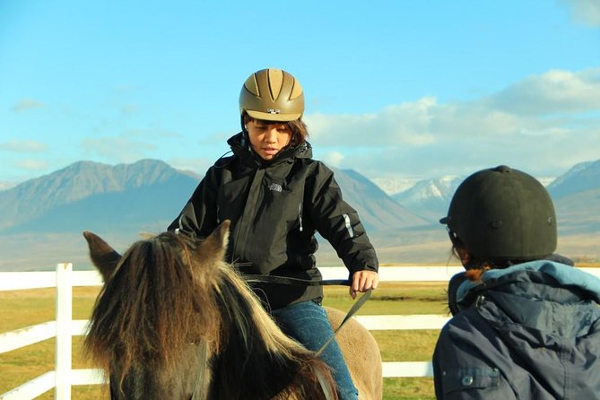 Family Friendly Horse Riding Tour in Skagafjörður - Who should book this ride?