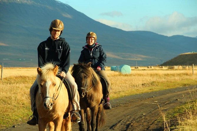 Family Friendly Horse Riding Tour in Skagafjörður - Hestasport Reception is the practical starting point