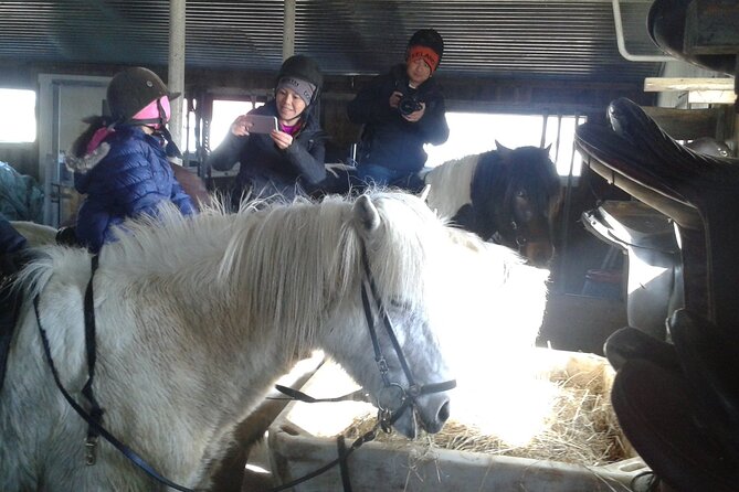 Family Horse Riding Tour in Thorlakshofn - Key Points About the Þorlákshöfn Horse Ride