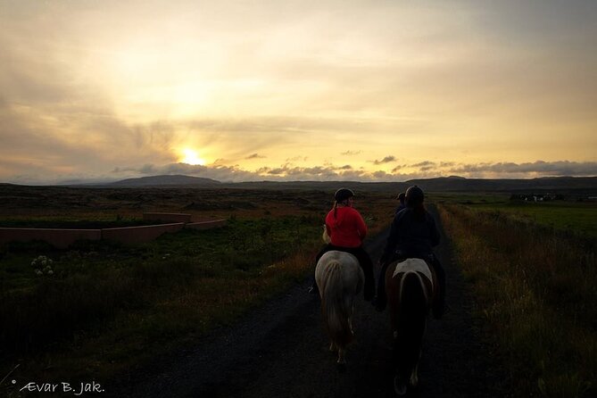 Family Horse Riding Tour in Thorlakshofn - Setting Out From Þorlákshöfn