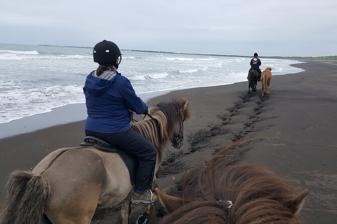 Family Horse Riding Tour in Thorlakshofn - Strandakirkja and the Atlantic Coast