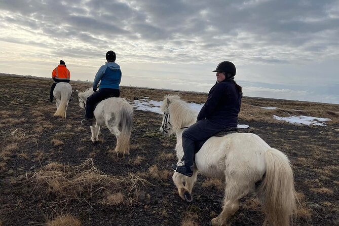 Family Horse Riding Tour in Thorlakshofn - Is This Really a Family-Friendly Ride?