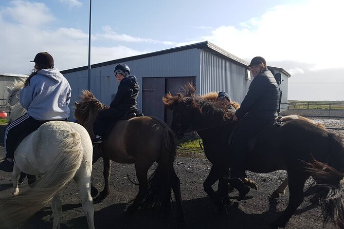 Family Horse Riding Tour in Thorlakshofn - Riding Through Lava Country Toward Krýsuvík