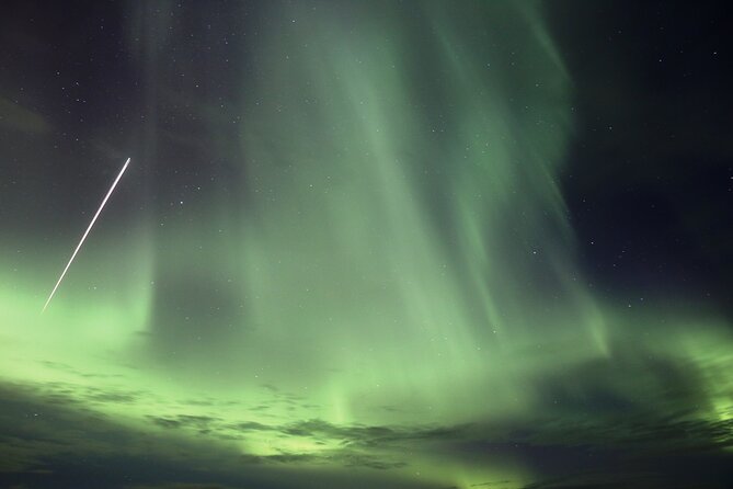 Forest Lagoon and Northern Lights Guided Night Tour - Key points to know before booking