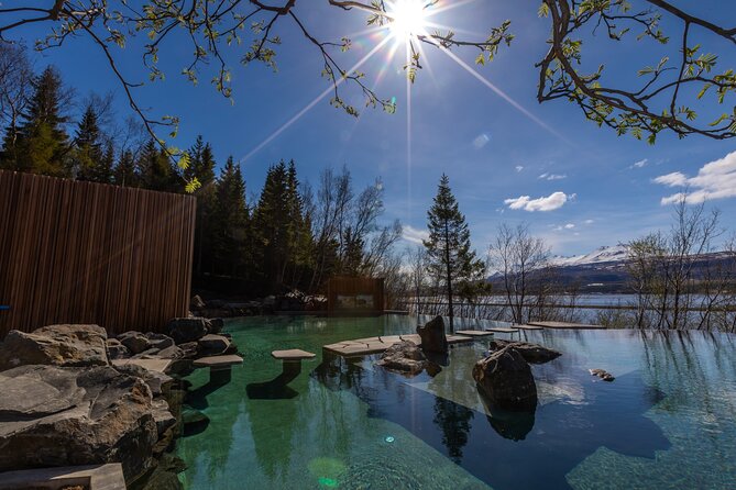 Forest Lagoon and Northern Lights Guided Night Tour - Why this pairing works in northern Iceland