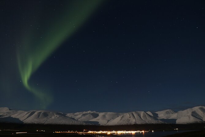Forest Lagoon and Northern Lights Guided Night Tour - Should you book the Forest Lagoon and Northern Lights tour?