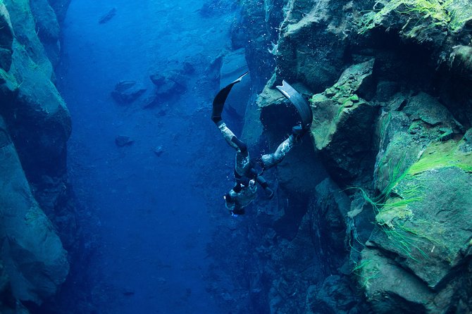 Freedive Silfra Half Day Tour - Key points before you book