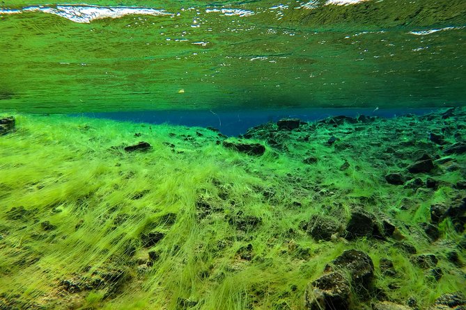 Freedive Silfra Half Day Tour - Why Silfra feels different from a normal water outing