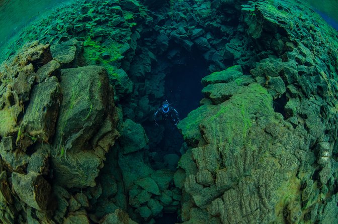 Freedive Silfra Half Day Tour - Is $233.50 a fair price?
