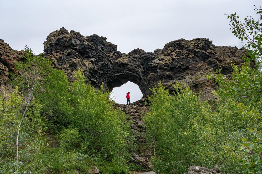 From Akureyri: Myvatn Lake, Craters, & Waterfall Tour - Is $187 good value for this North Iceland day?
