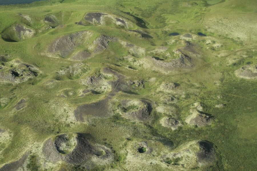 From Akureyri: Myvatn Lake, Craters, & Waterfall Tour - Who should book this tour?