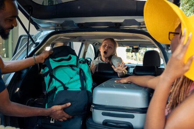 From KEF Airport: Private Transfer to Reykjavik in Iceland - Driver communication and local advice