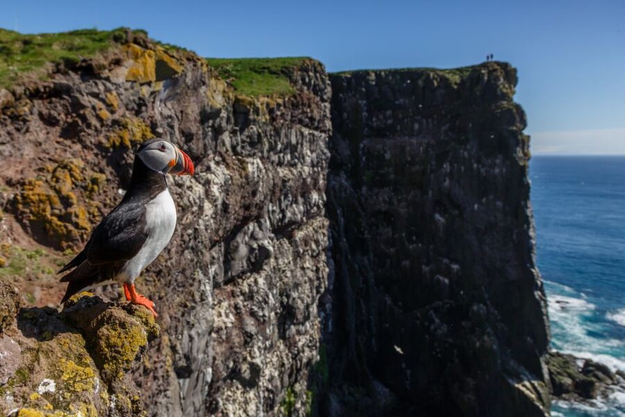 From Reykjavík: 3-Day Tour of the Wild Westfjords - Day one: Viking roots, fjords, and a warm pool