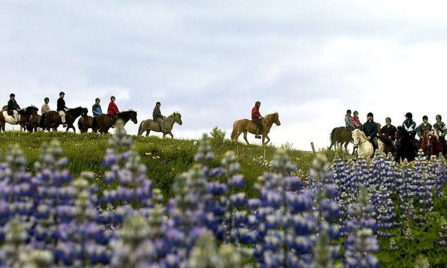 From Reykjavík: Full-day Golden Circle & Horse Riding Tour - Gullfoss and the glacial river
